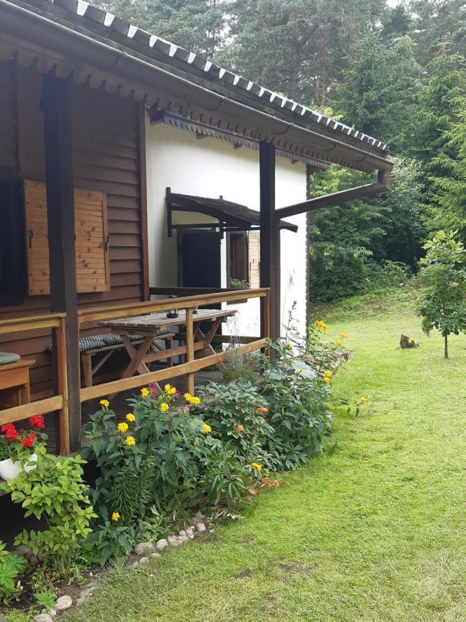 Lesna Polana Villa กูชนอ ภายนอก รูปภาพ
